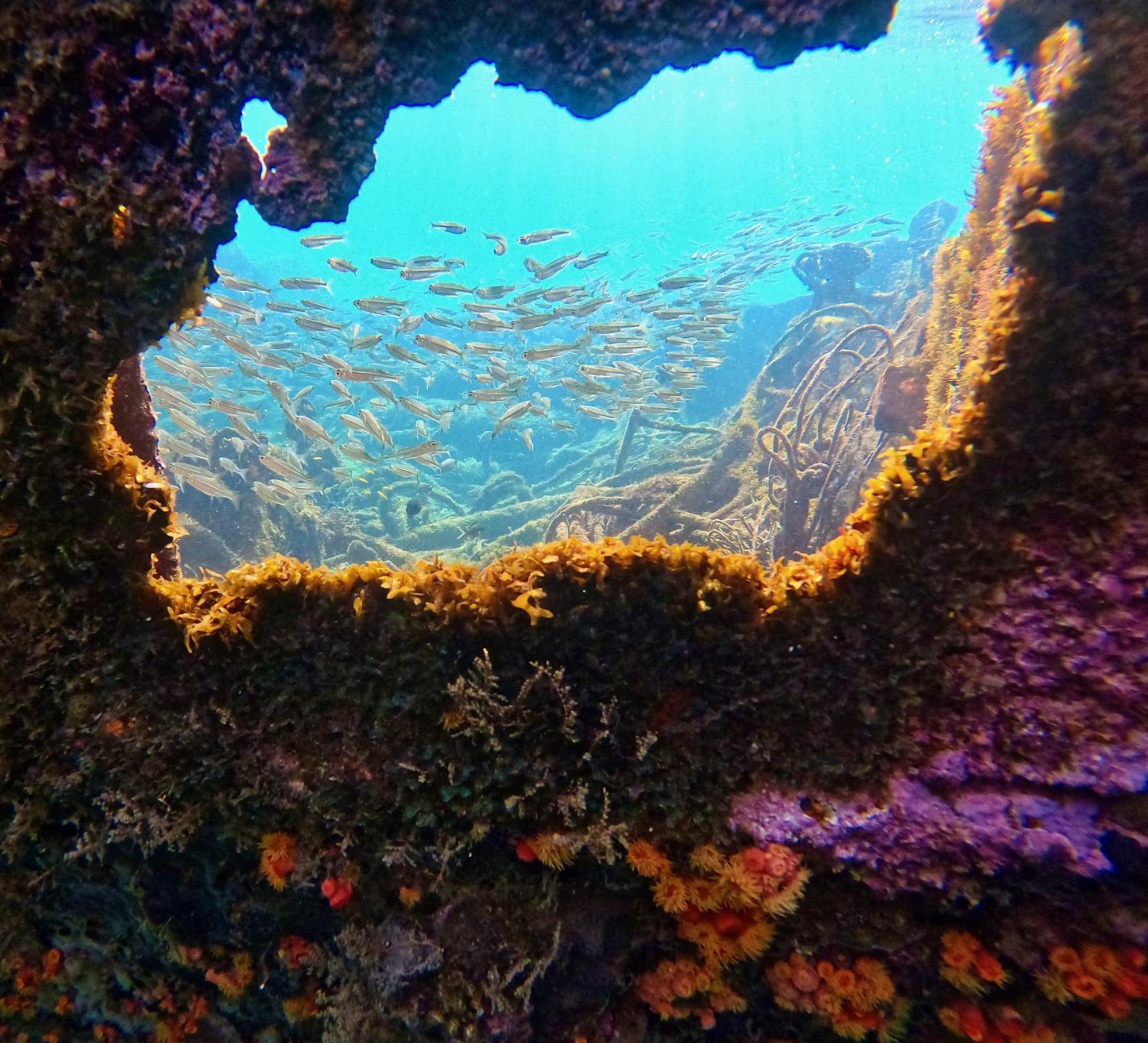 La Plage Martinique Schoelcher Esterno foto